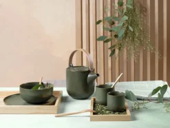 ASA Teller flach COPPA 6er Set nori-grün