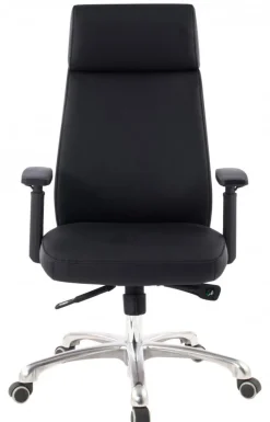 Chefsessel 68 x 118 cm schwarz silber