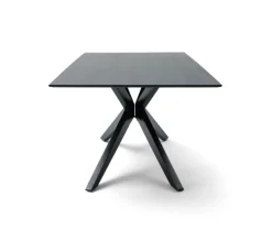 Musterring Esstisch TIAMA 200 x 100 cm Eiche massiv schwarz lackiert transparent