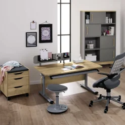 PAIDI Drehstuhl TIO SITNESS grau/ silbergrau