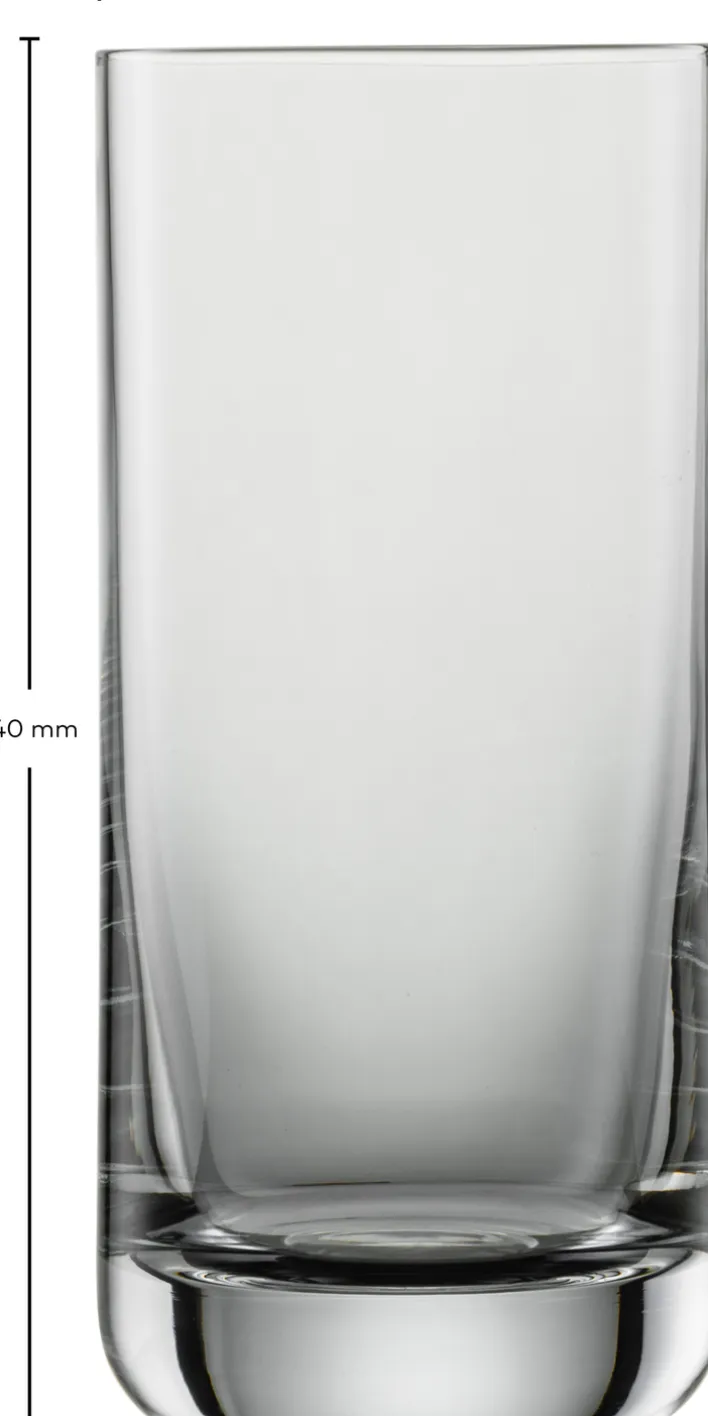 SCHOTT ZWIESEL Bierglas SIMPLE 6er Set 320 ml