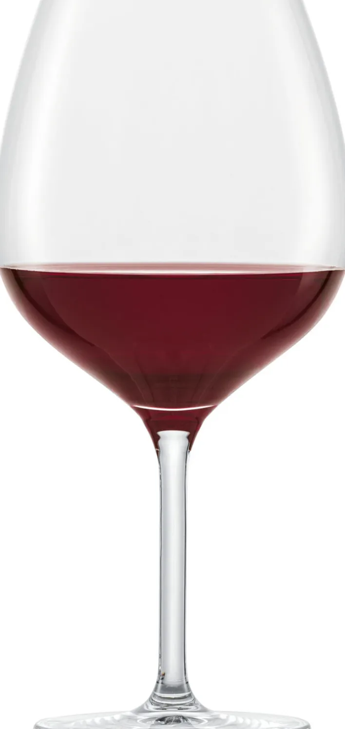SCHOTT ZWIESEL Burgunderglas FOR YOU 4er Set