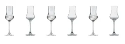 SCHOTT ZWIESEL Digestifglas CLASSICO 6er Set - je 95 ml