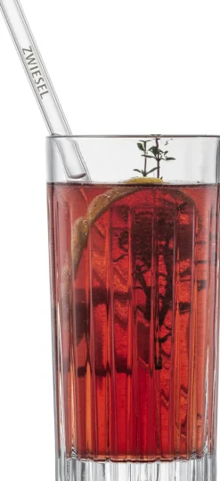 SCHOTT ZWIESEL Glastrinkhalm-Set 5-teilig 21 cm