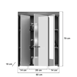 Spiegelschrank SCOUT 60 x 79 cm grau