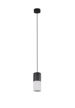 TRIO Retrofit Pendelleuchte ROBIN X 1-flg schwarz