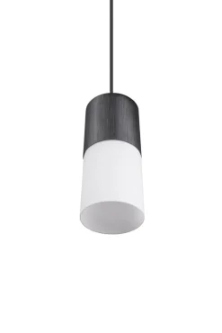 TRIO Retrofit Pendelleuchte ROBIN X 1-flg schwarz